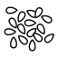 World Sesame Conference